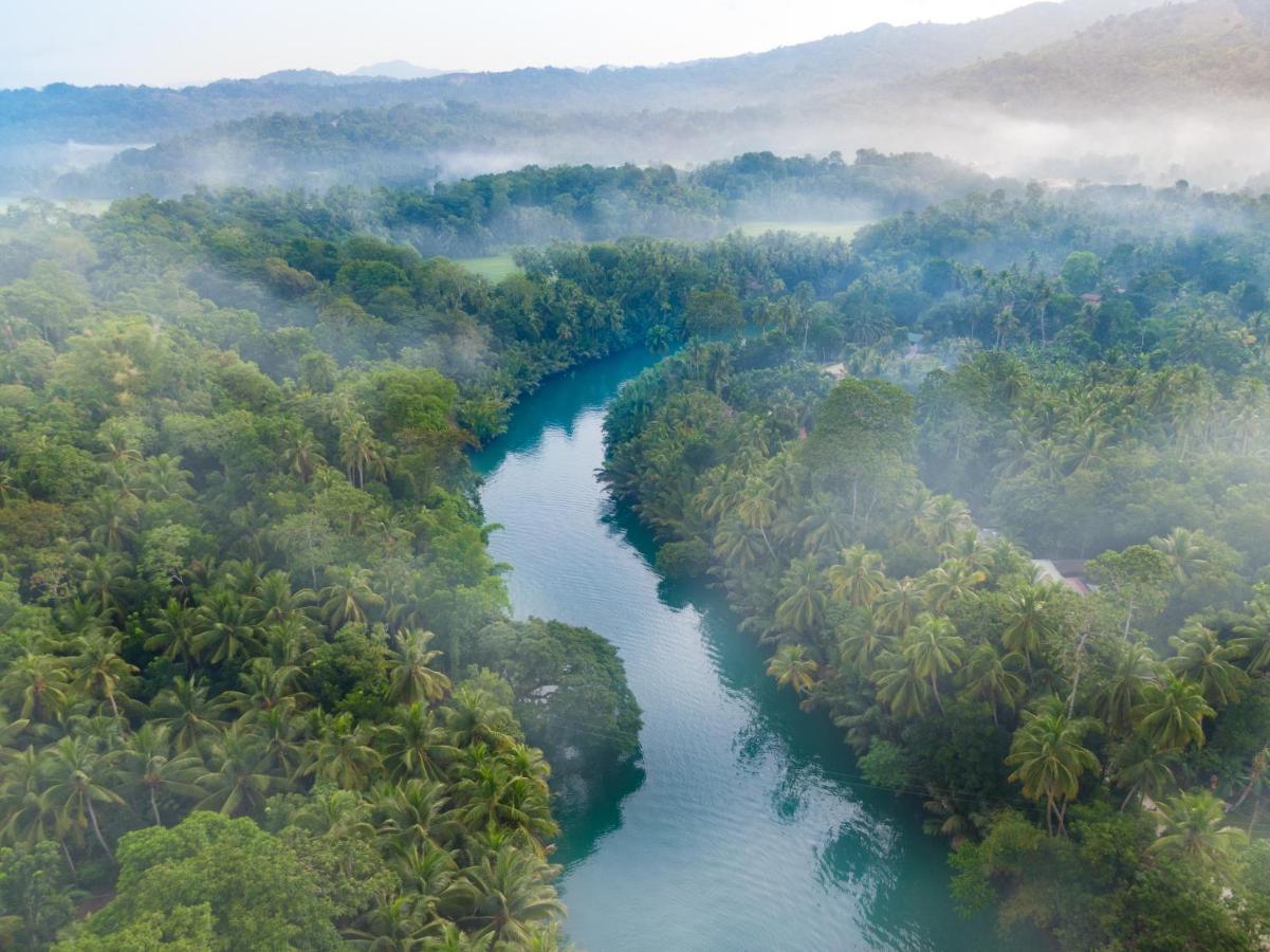 Fox & The Firefly Cottages Loboc Buitenkant foto