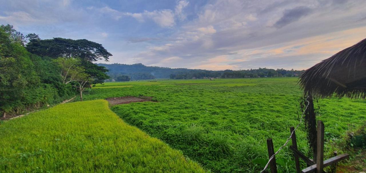 Fox & The Firefly Cottages Loboc Buitenkant foto