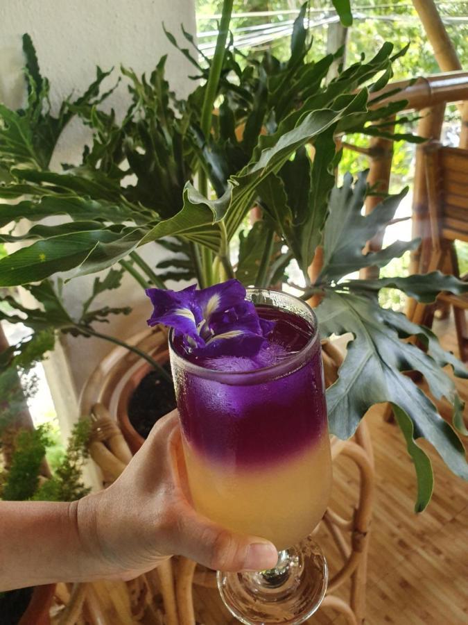Fox & The Firefly Cottages Loboc Buitenkant foto