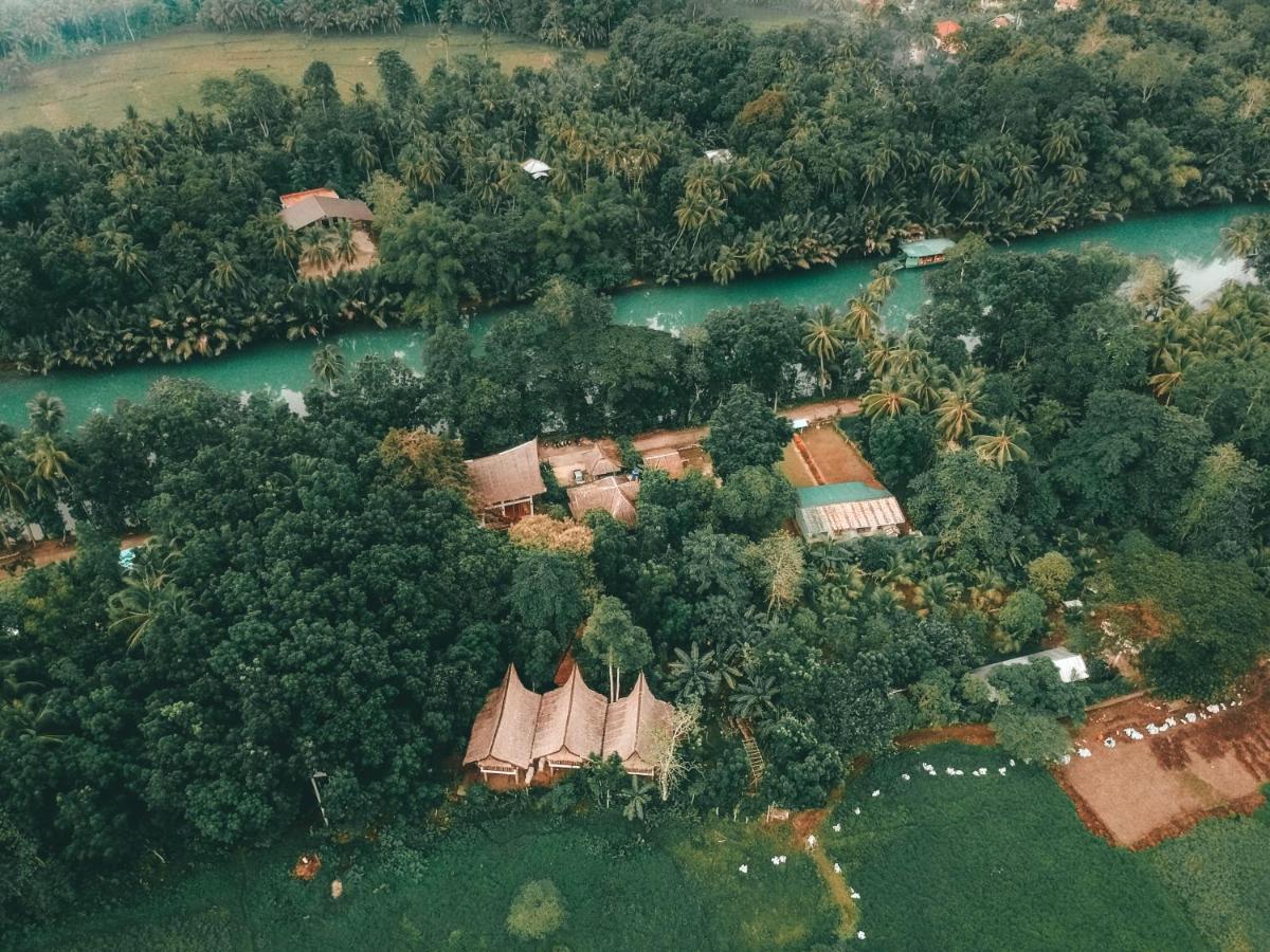 Fox & The Firefly Cottages Loboc Buitenkant foto