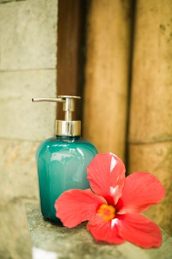 Fox & The Firefly Cottages Loboc Buitenkant foto