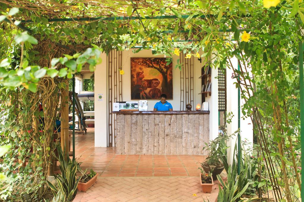 Fox & The Firefly Cottages Loboc Buitenkant foto